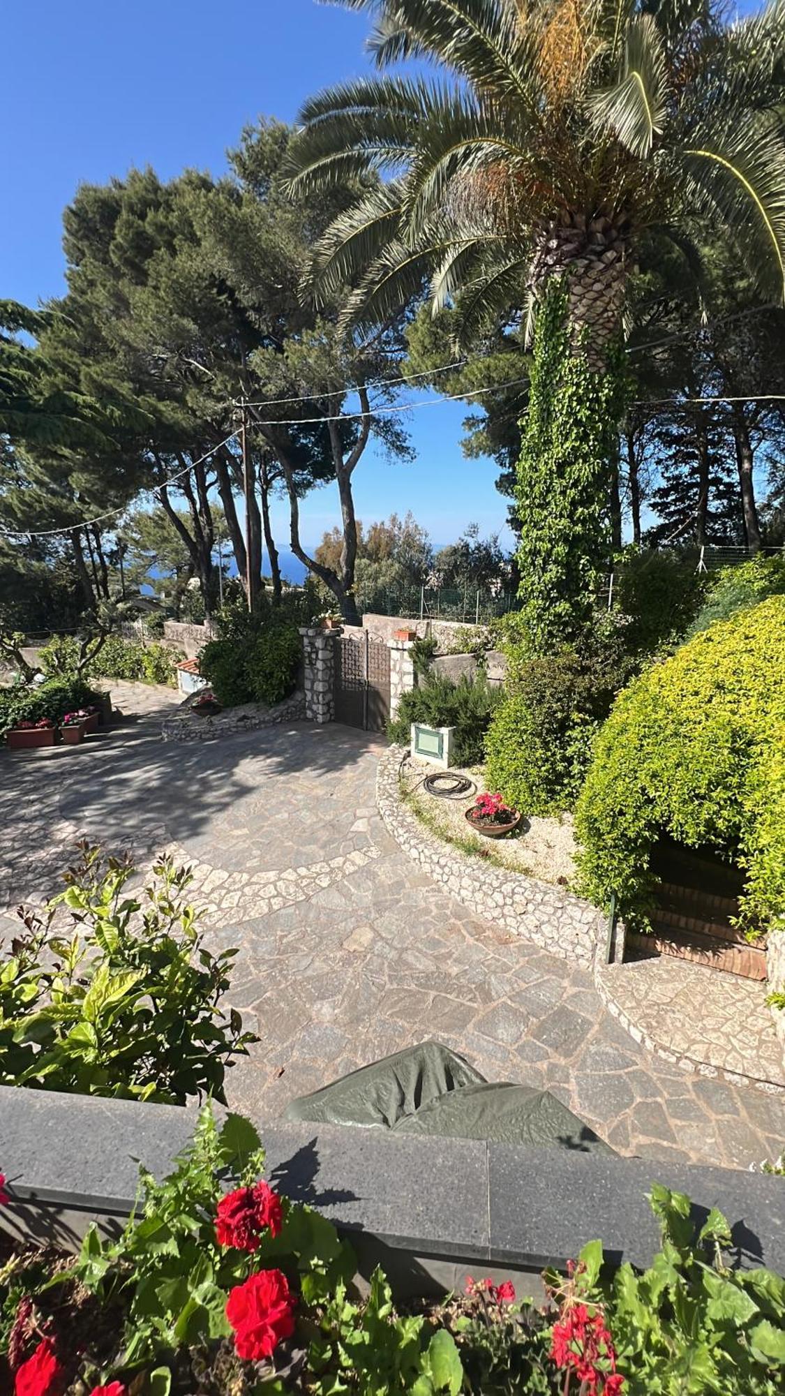 La Canostra Capri - Luxury Room Ad Anacapri Zewnętrze zdjęcie
